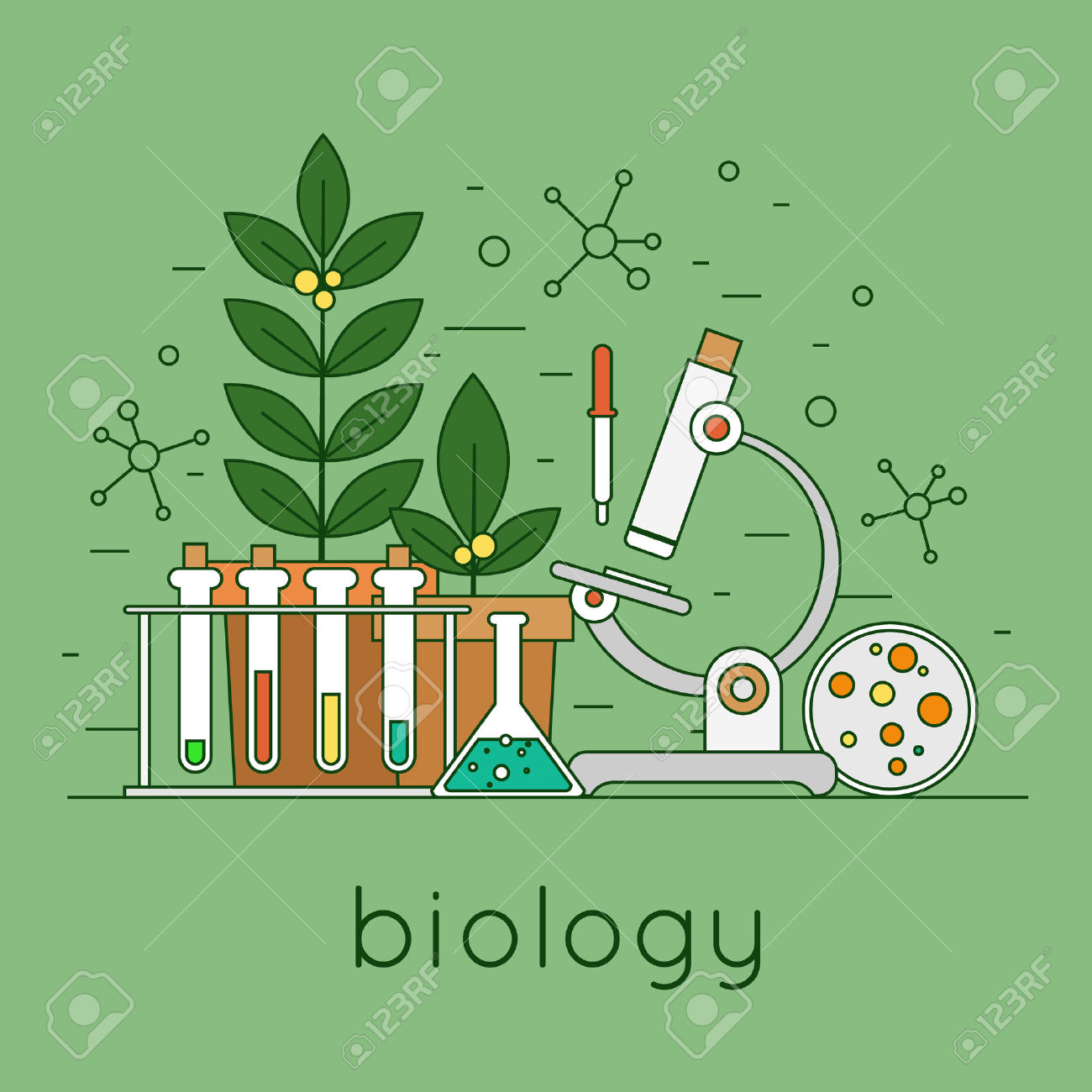 Biology In Illinois American Modeling Teachers Association biology-in-illinois-american-modeling-teachers-association
