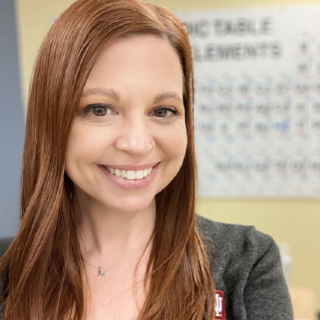 Lynn American Modeling Teachers Association