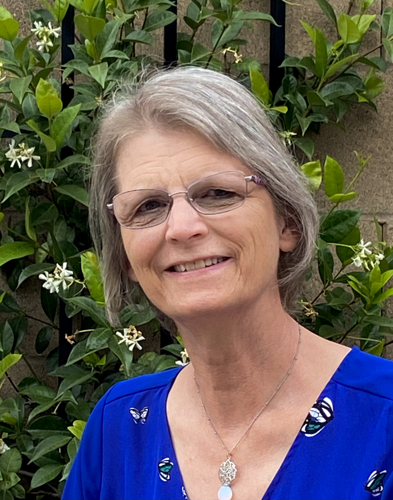 2023 Meet the Candidates American Modeling Teachers Association